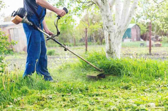 Faire appel à un paysagiste pour débroussailler le jardin - Saint-Denis – KREATIVE