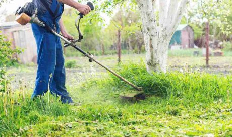 Faire appel à un paysagiste pour débroussailler le jardin - Saint-Denis – KREATIVE